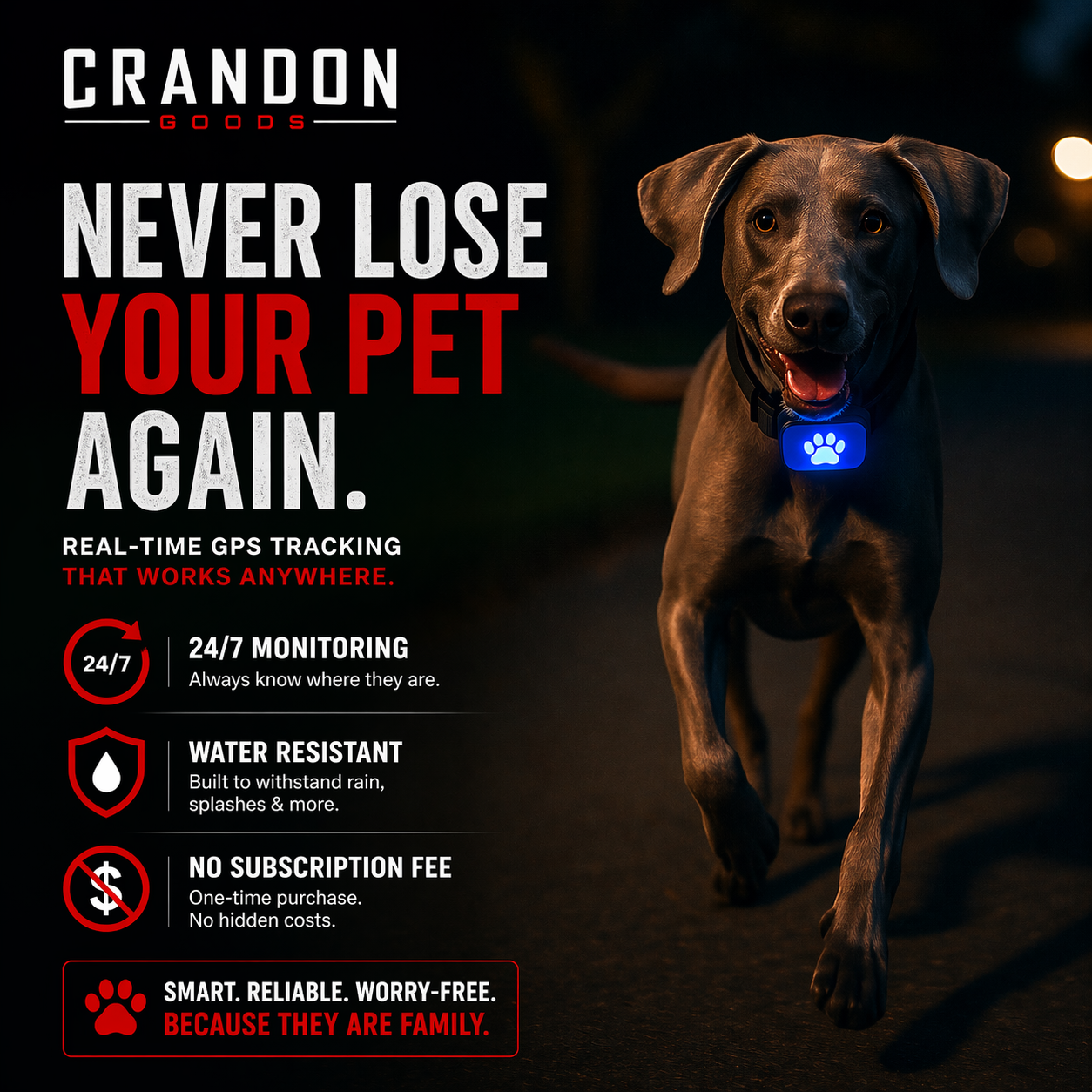 WYVCK® Never Wonder™ Pet GPS Tracker Collar