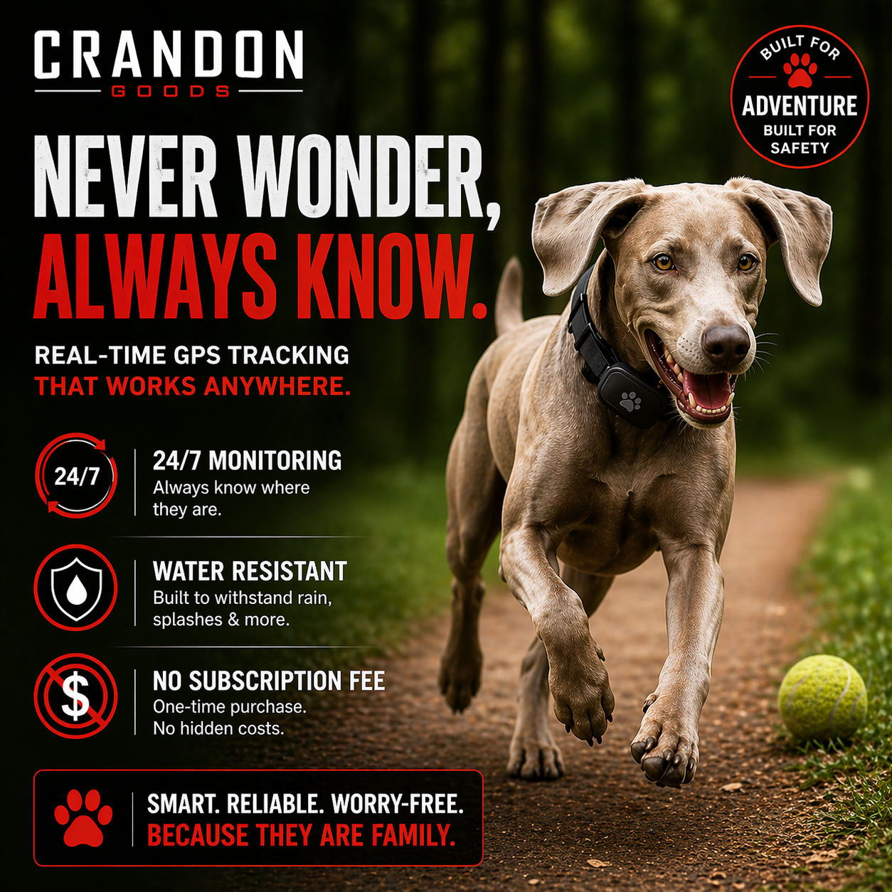WYVCK® Never Wonder™ Pet GPS Tracker Collar
