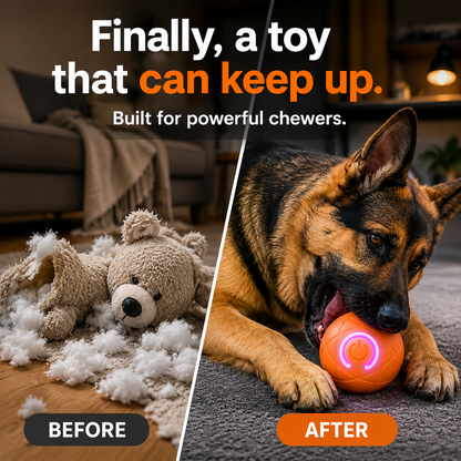 🐾 AUTO-BOUNCING SMART PET BALL WITH REMOTE CONTROL— 3 Interactive Modes | Chew-Resistant E-TPU | USB-C Rechargeable 🎾