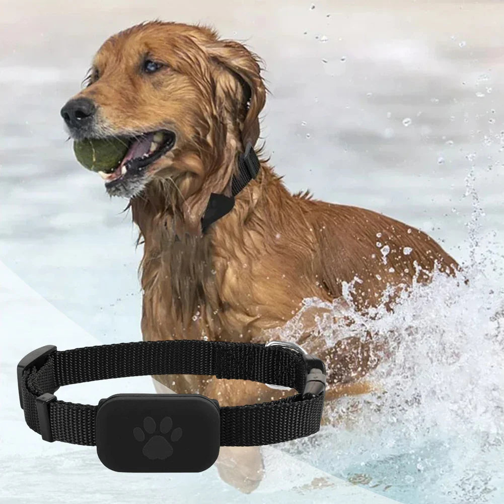 WYVCK® Never Wonder™ Pet GPS Tracker Collar