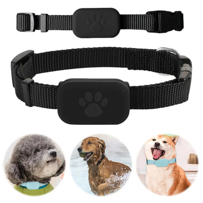 WYVCK® Never Wonder™ Pet GPS Tracker Collar